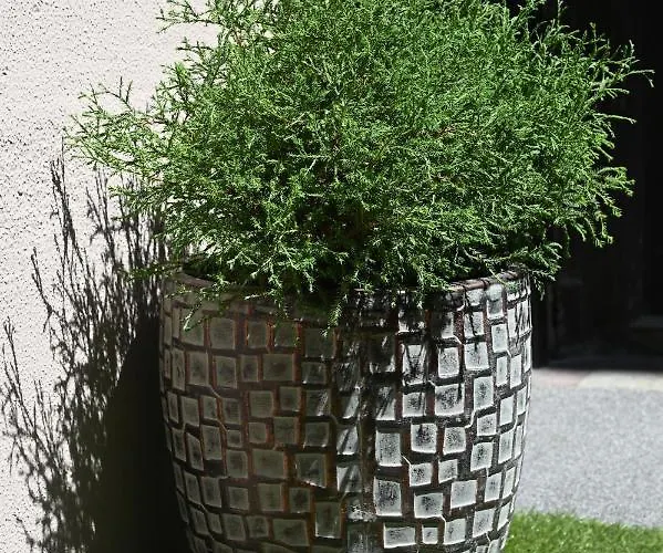 شقة Akacfaapartman *